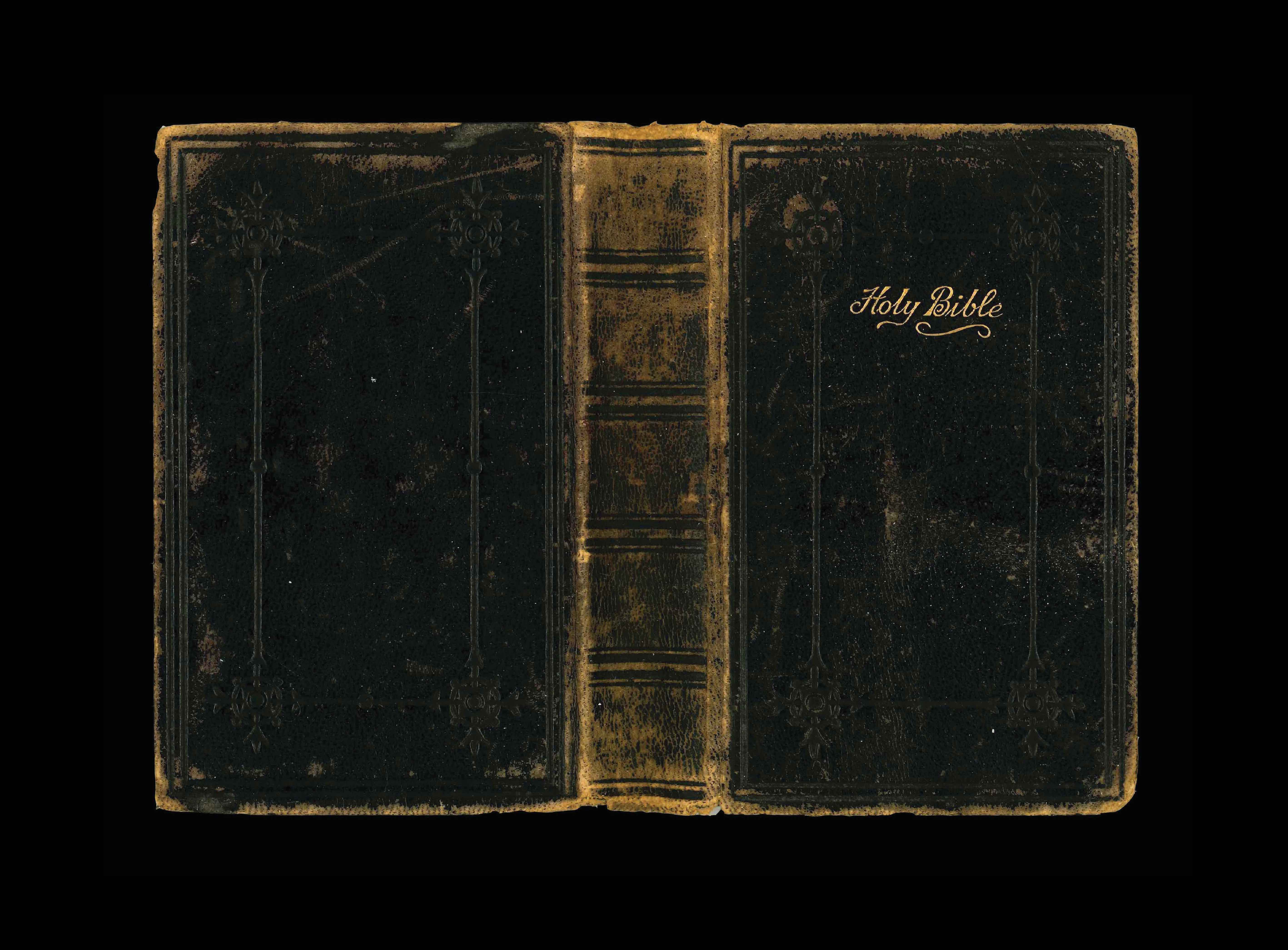 Born this Way (Back)_ copy.jpg